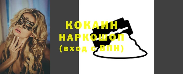 мдпв Богородицк
