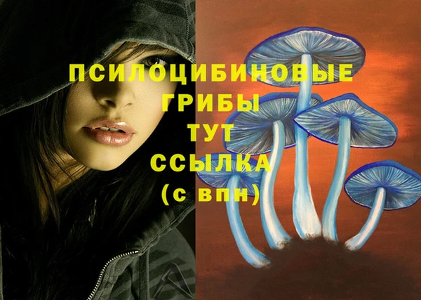 дурь Белоозёрский
