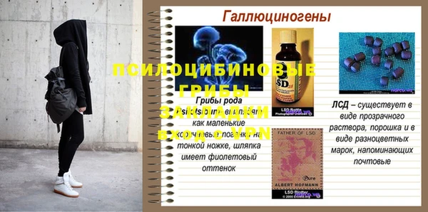 амфетамин Белокуриха
